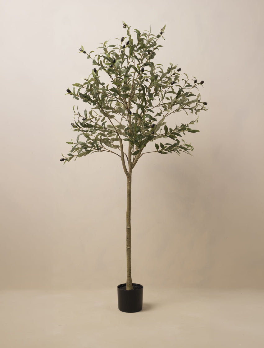 Olivier artificiel – 160 cm