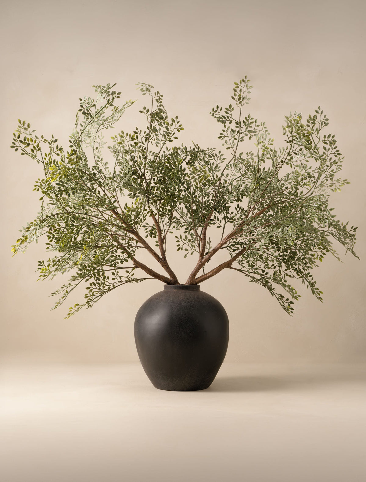 Grandes branches de ruscus artificiel (2 branches)
