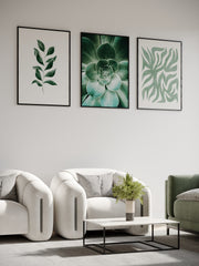 Composition murale de 3 affiches – Vert prairie