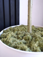 Mousse stabilisée – Vert foncé (200 g)