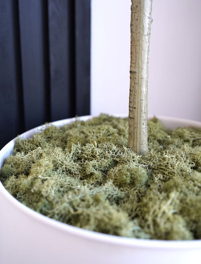Mousse stabilisée – Vert foncé (200 g)
