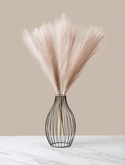 Vase Statement Outline – Noir