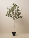 Eucalyptus artificiel – 160 cm