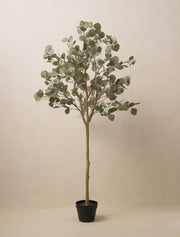 Eucalyptus artificiel – 160 cm