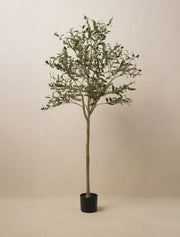 Olivier artificiel – 160 cm