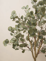 Eucalyptus artificiel – 160 cm