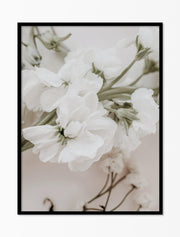 Affiche – Blanc pur