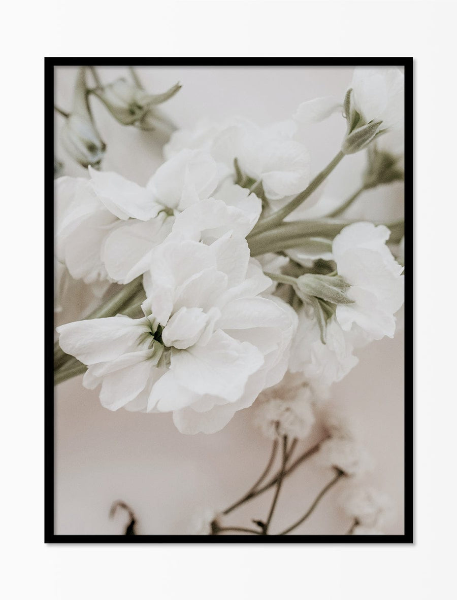 Blanc pur