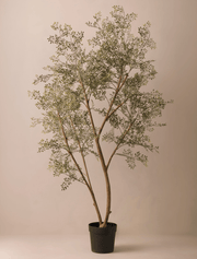 Ruscus artificiel – Intérieur et extérieur, 185 cm