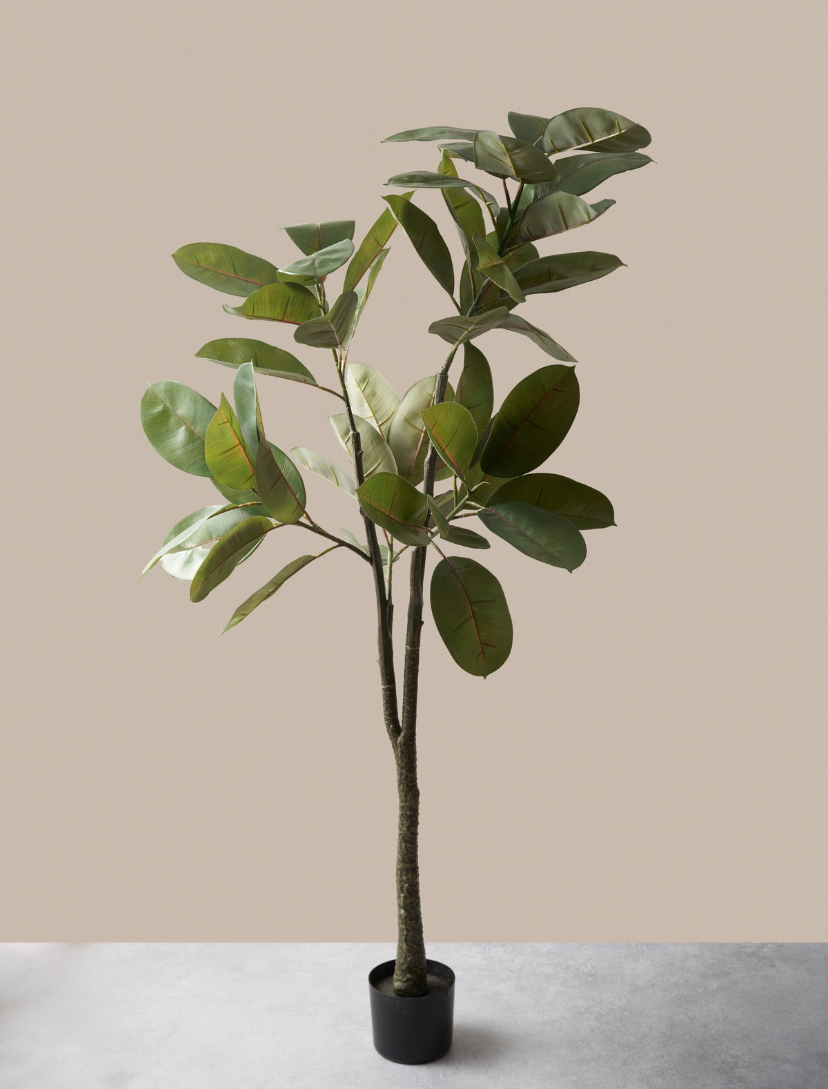 Ficus elastica artificiel