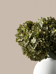 Grands hortensias artificiels – Vert (5 tiges)