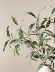 Eucalyptus à feuilles de saule artificiel – Vert (5 tiges)