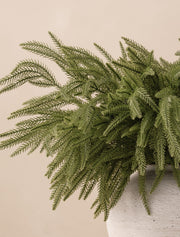 Branches de pin de Norfolk artificiel (5 tiges)