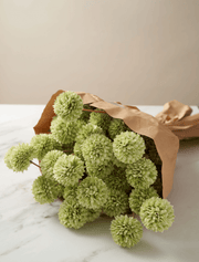 Chrysanthèmes Kiku artificiels – Vert (10 tiges / 50 fleurs)