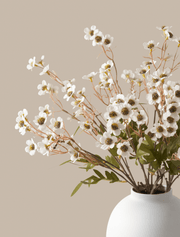 Fleurs de cire artificielles – Blanc (10 tiges)