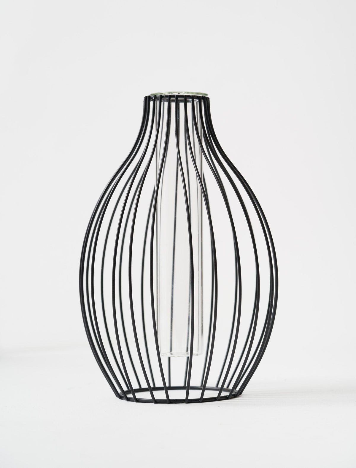 Vase Statement Outline – Noir