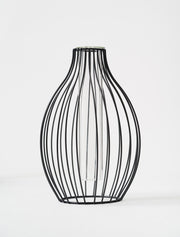 Vase Statement Outline – Noir