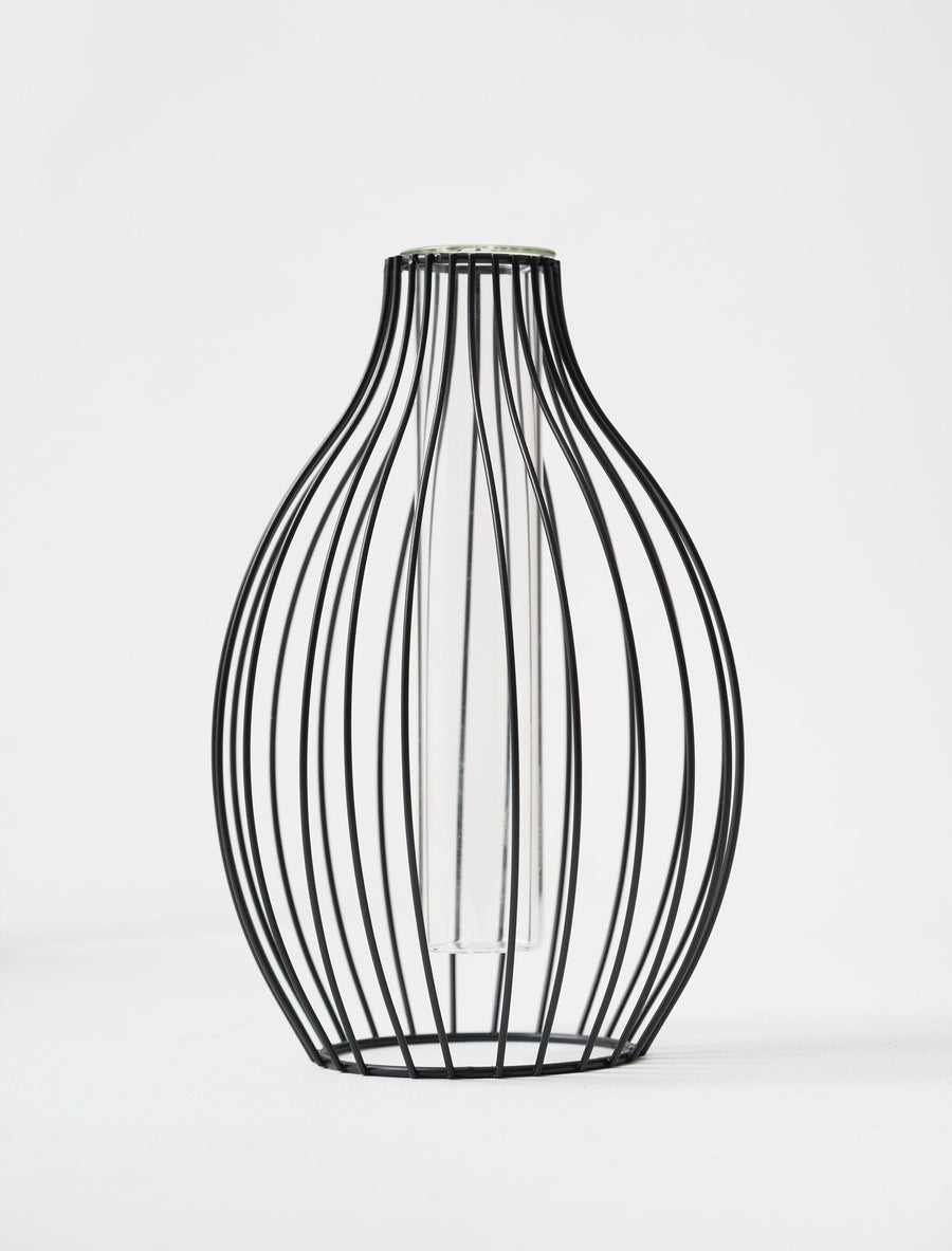 Vase Statement Outline – Noir