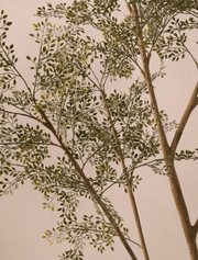 Ruscus artificiel – Intérieur et extérieur, 185 cm