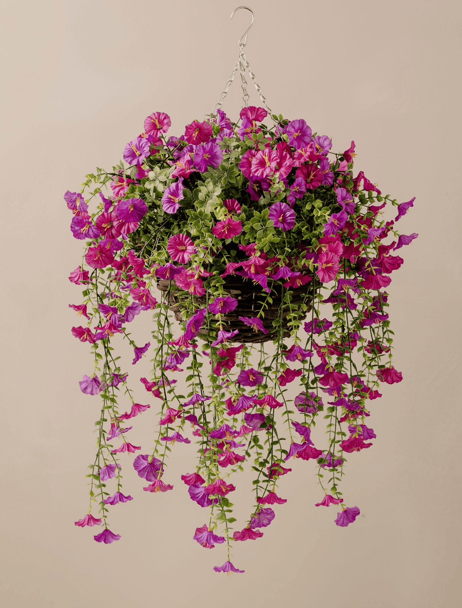 Panier Pétunia Suspendu d'Extérieur - Violet