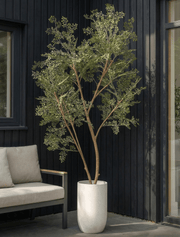 Ruscus artificiel – Intérieur et extérieur, 185 cm