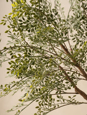 Grandes branches de ruscus artificiel (2 branches)