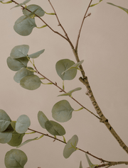 Grandes branches d’eucalyptus artificiel (2 branches)
